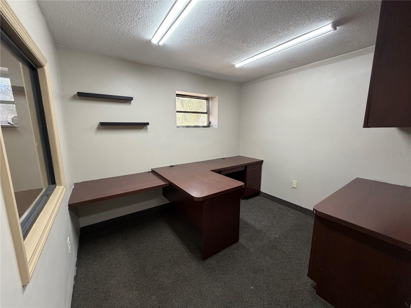 15921 N FLORIDA AVE, LUTZ, FL, 33549