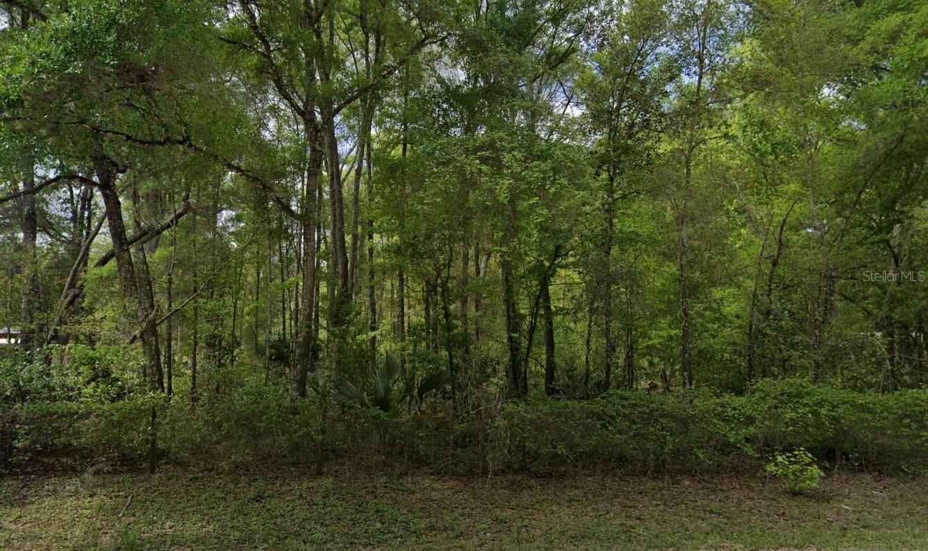 350 NE 644TH ST, OLD TOWN, FL, 32680