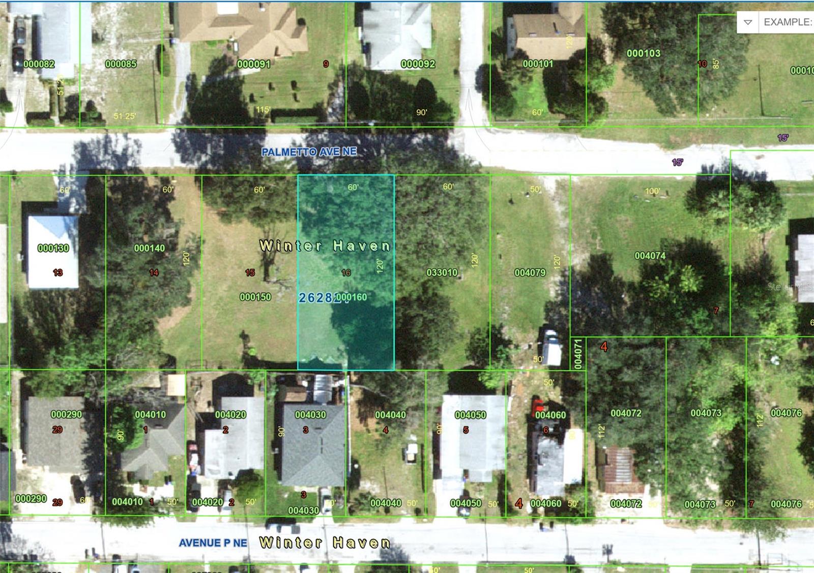 PALMETTO AVE NE, WINTER HAVEN, FL, 33881