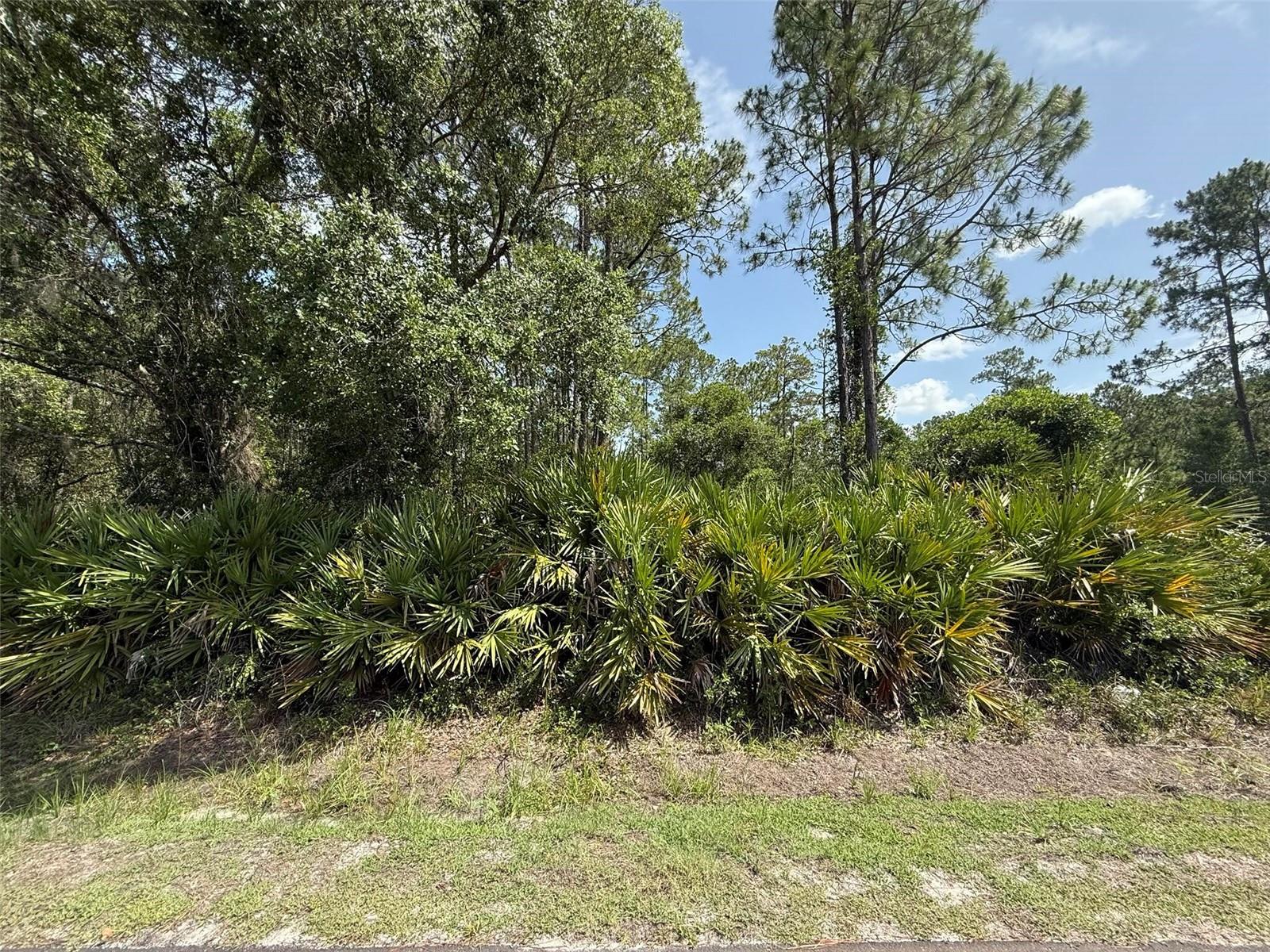 132 MILLICAN RD, PALATKA, FL, 32177
