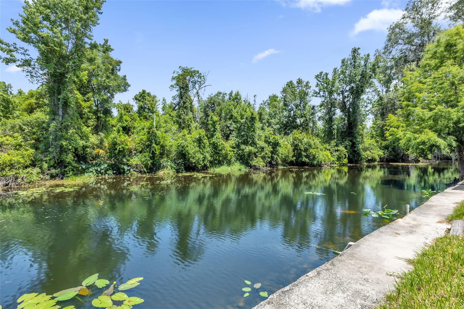 35505 CRESCENT DR, FRUITLAND PARK, FL, 34731