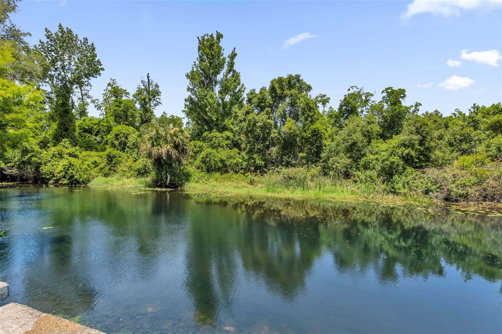 35505 CRESCENT DR, FRUITLAND PARK, FL, 34731