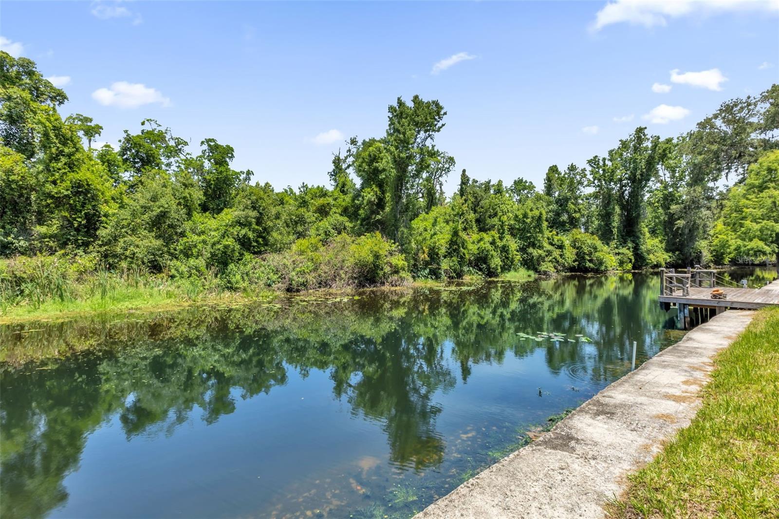 35505 CRESCENT DR, FRUITLAND PARK, FL, 34731