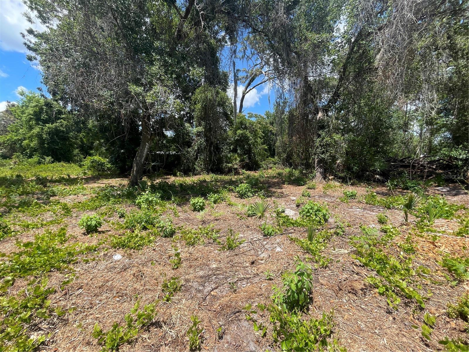 COUNTY ROAD 42, UMATILLA, FL, 32784