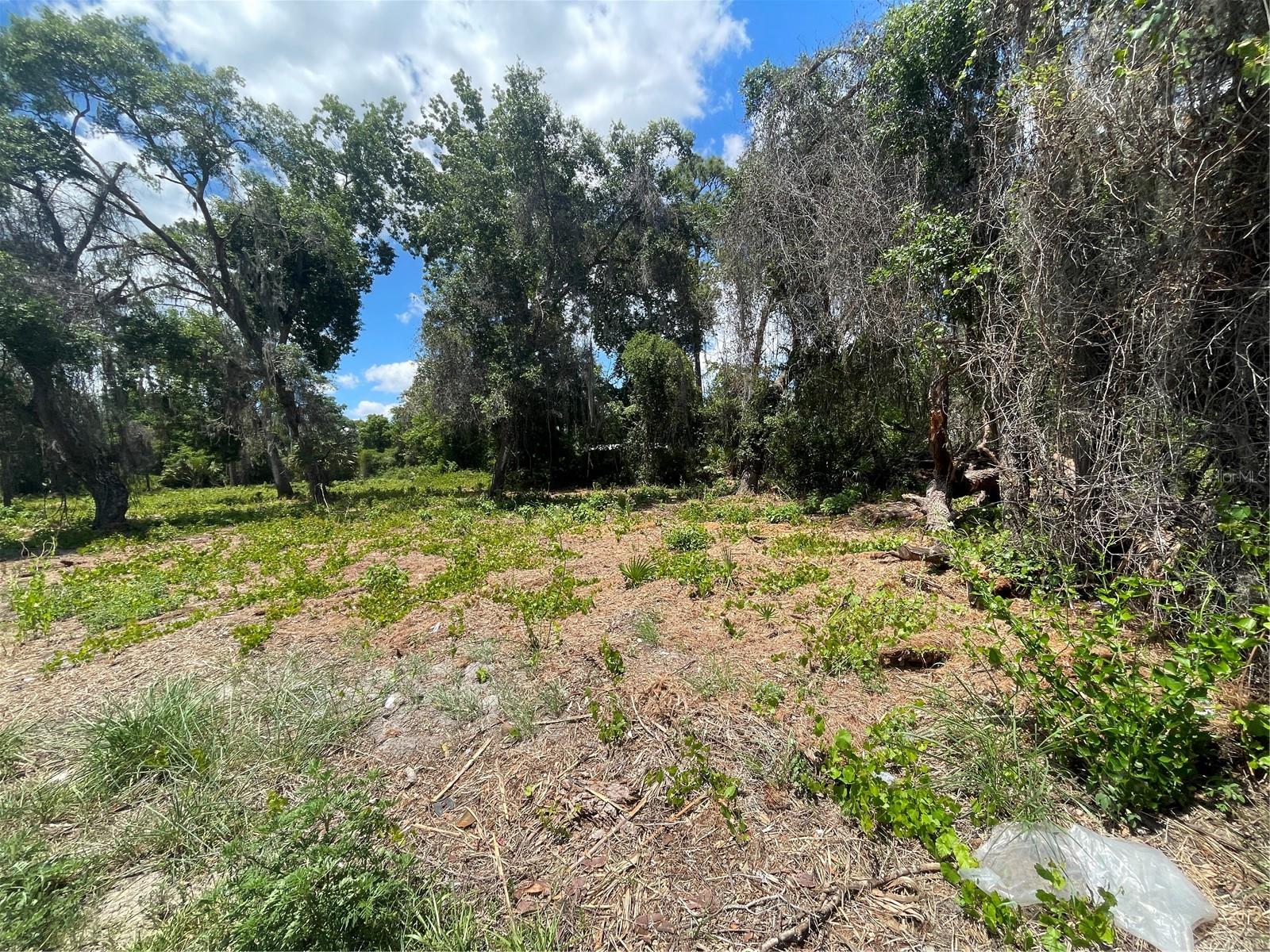 COUNTY ROAD 42, UMATILLA, FL, 32784