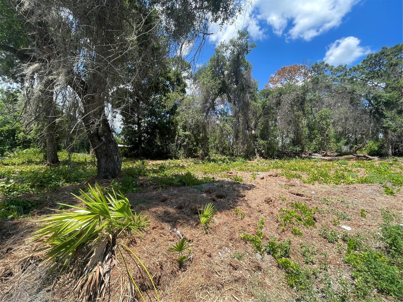 COUNTY ROAD 42, UMATILLA, FL, 32784