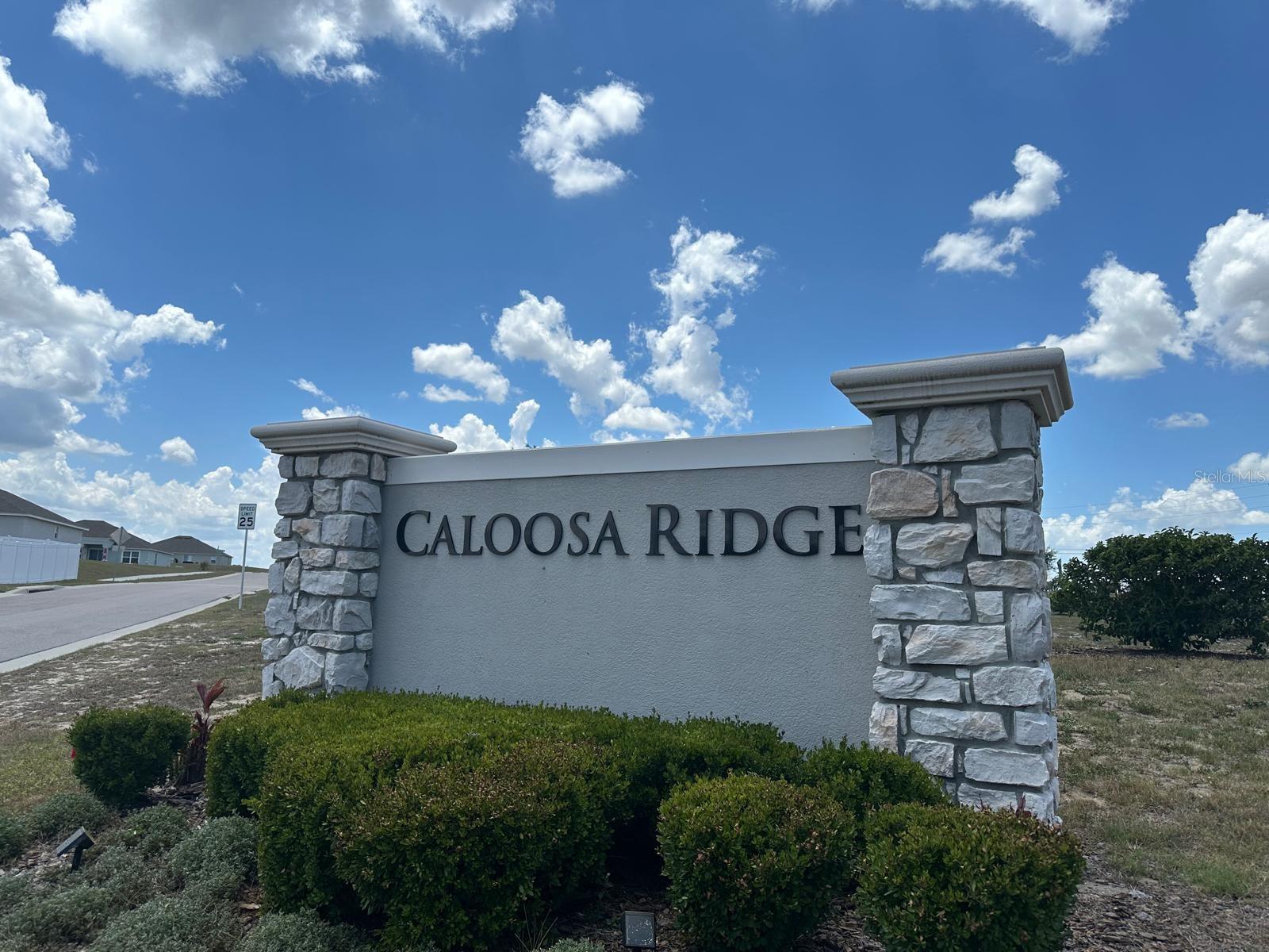 1116 CALOOSA RIDGE WAY, BABSON PARK, FL, 33827