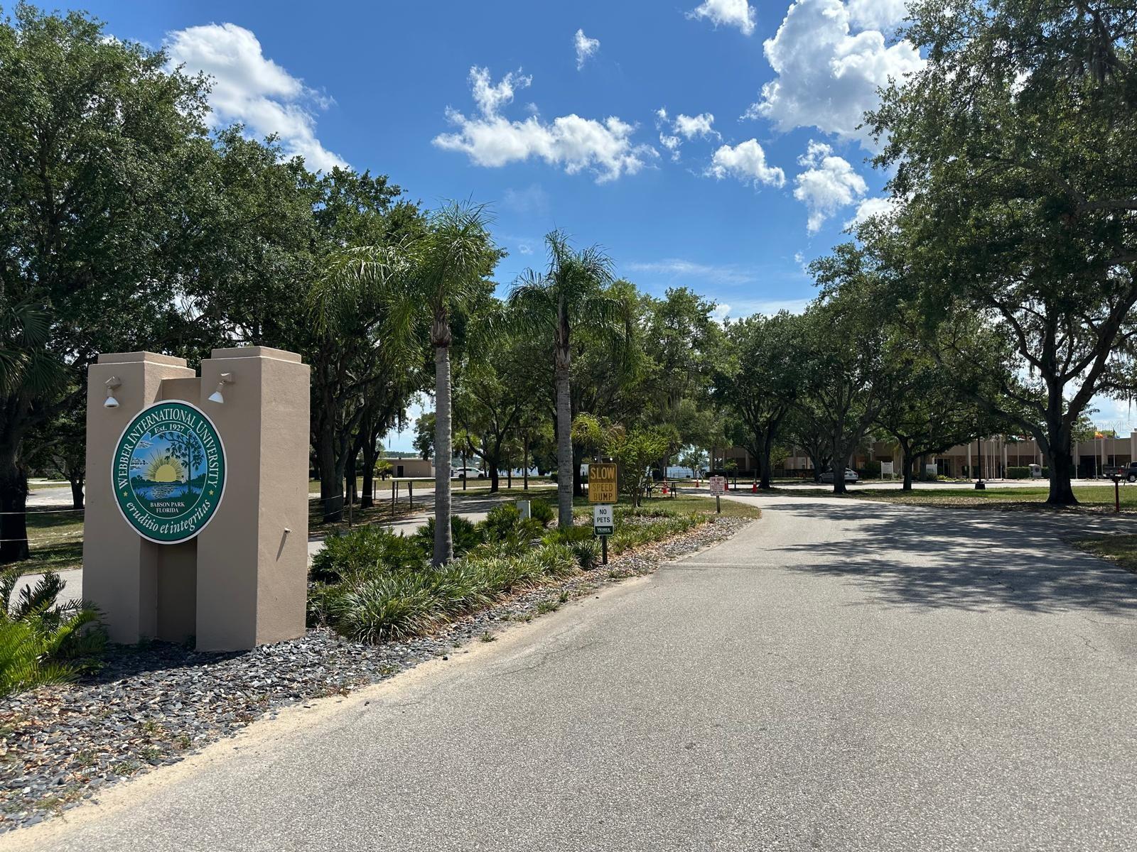 1116 CALOOSA RIDGE WAY, BABSON PARK, FL, 33827