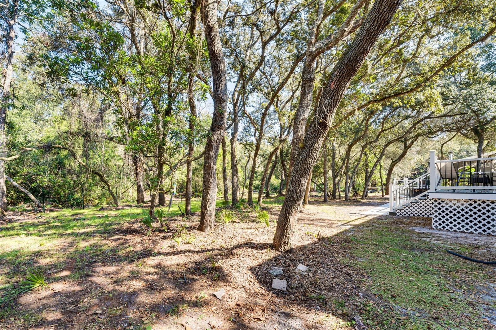 8125 SHELLEY TRL, KISSIMMEE, FL, 34747