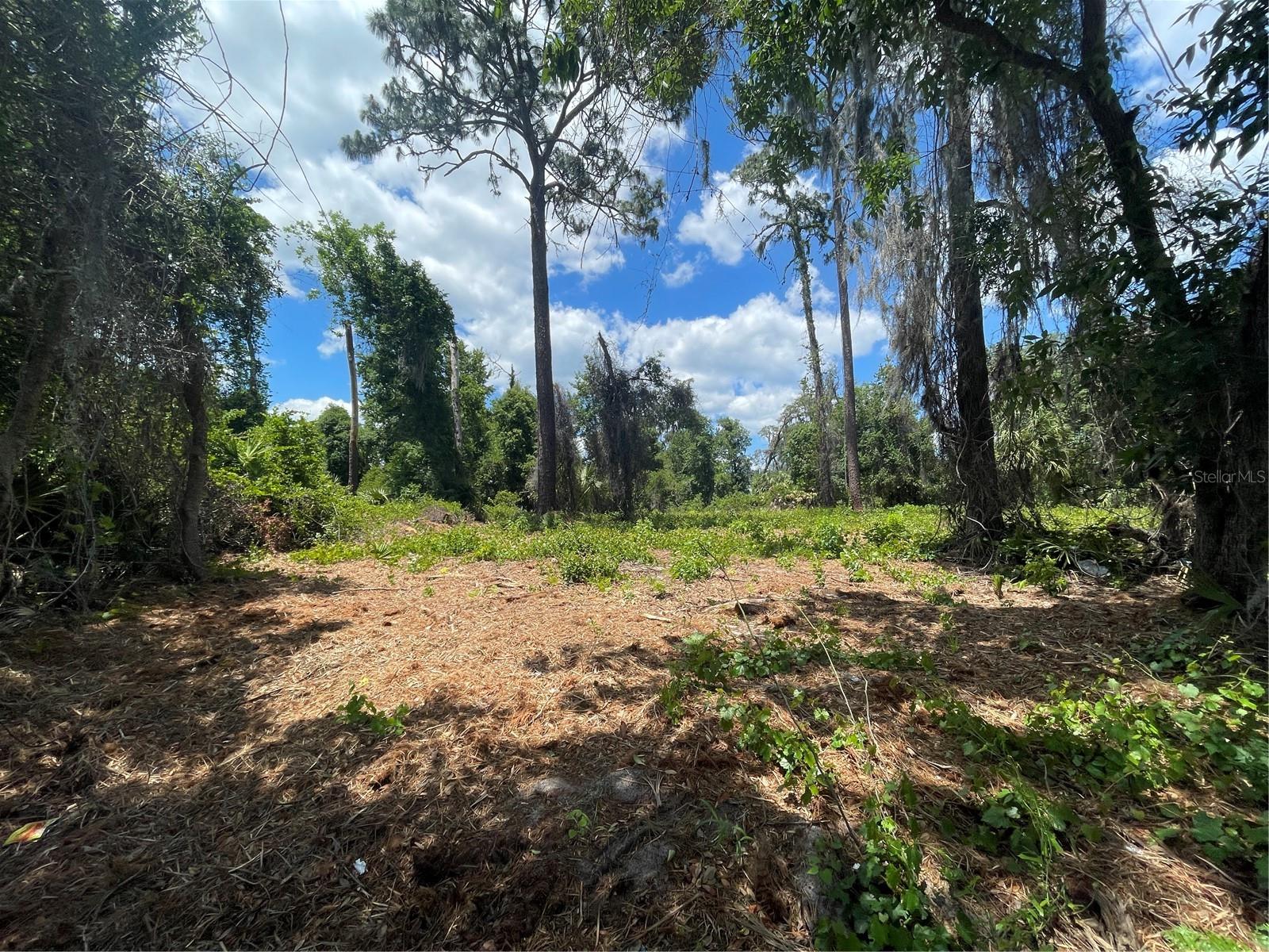 COUNTY ROAD 42, UMATILLA, FL, 32784