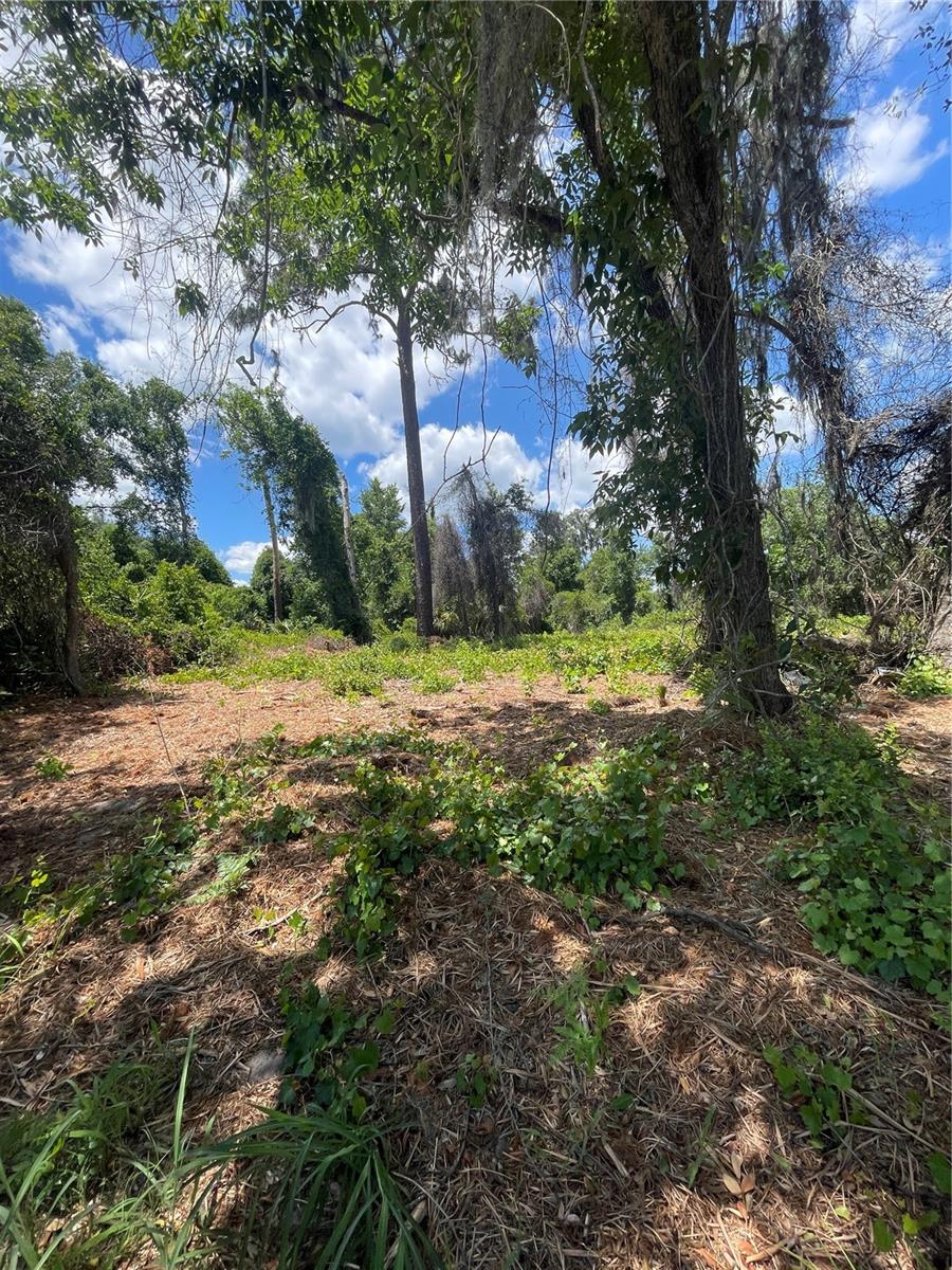 COUNTY ROAD 42, UMATILLA, FL, 32784