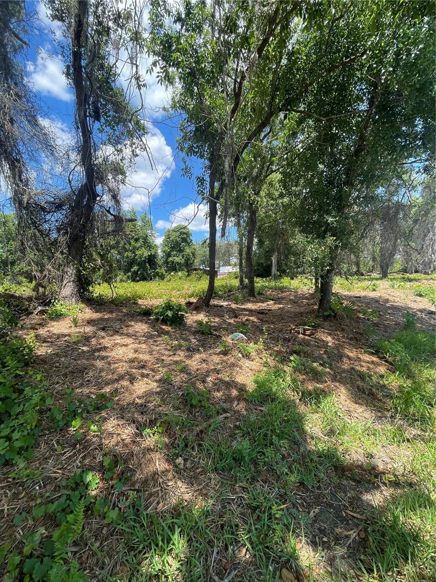 COUNTY ROAD 42, UMATILLA, FL, 32784