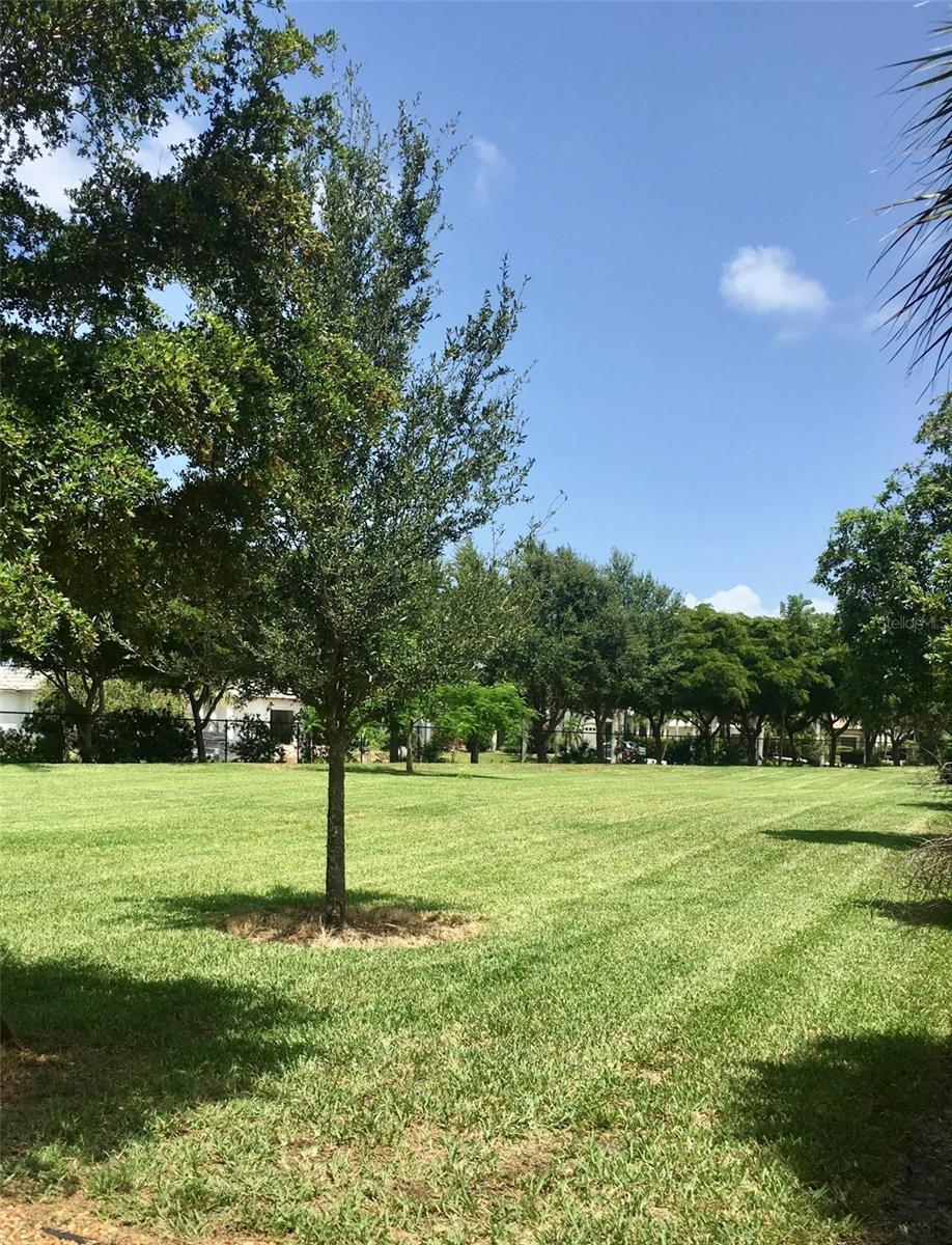 2769 LAMBAY CT, CAPE CORAL, FL, 33991