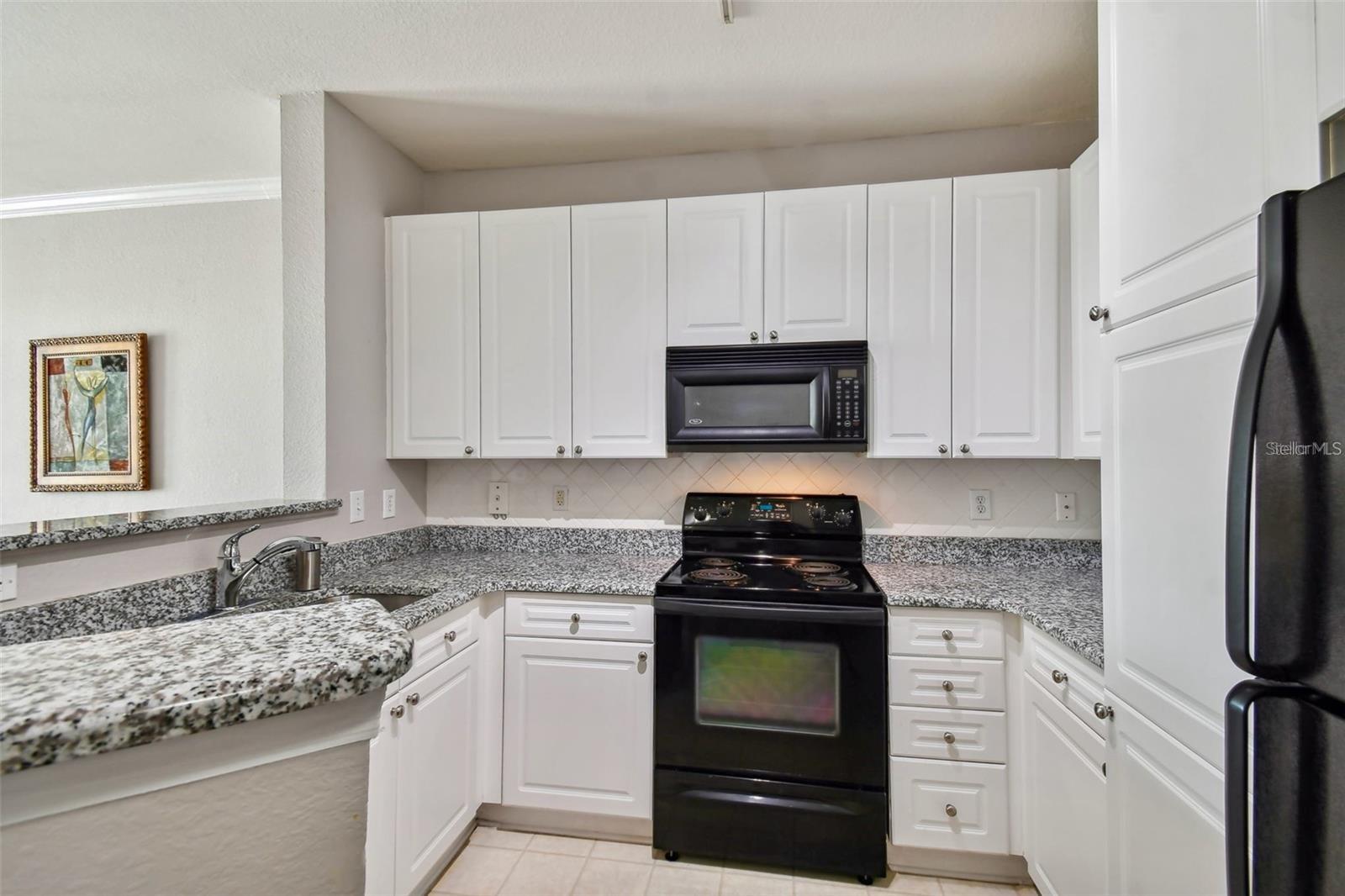4221 W SPRUCE ST #2323, TAMPA, FL, 33607