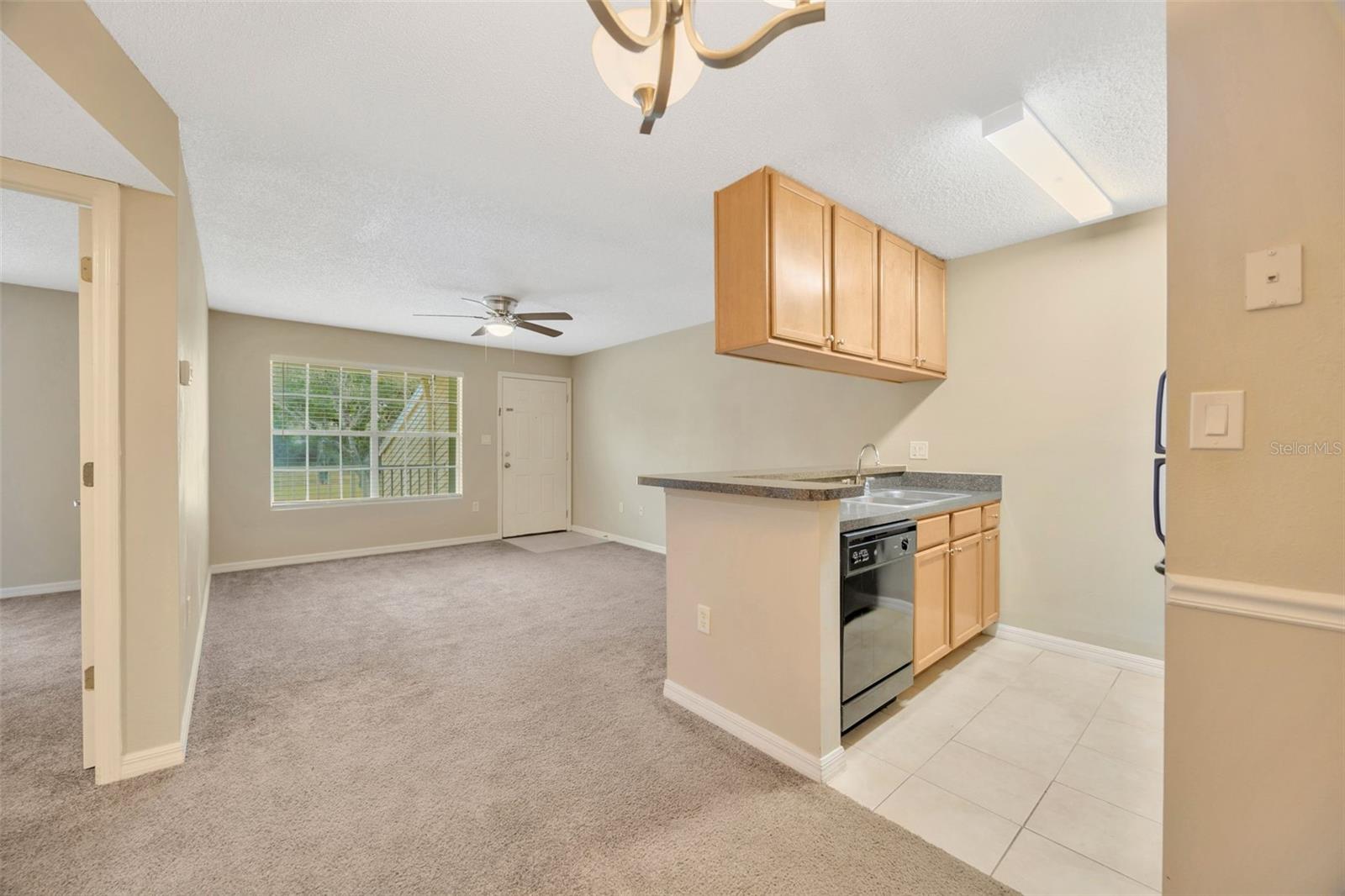 308 LAKE PARSONS GRN #105, BRANDON, FL, 33511