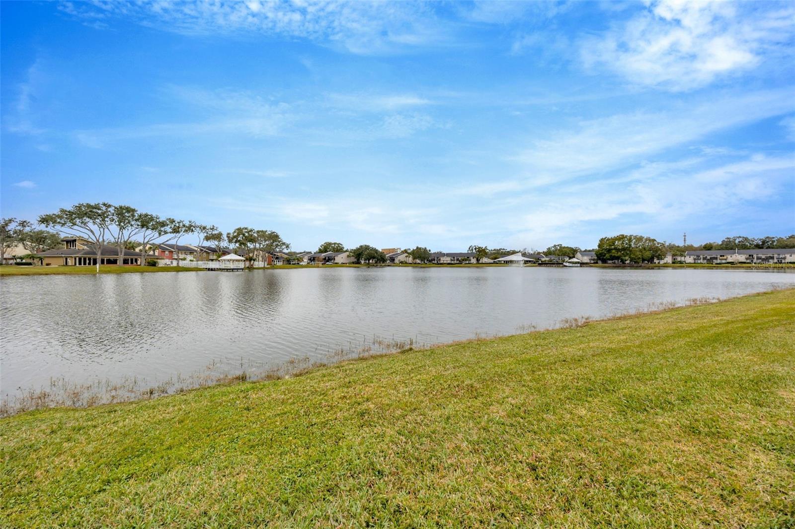 308 LAKE PARSONS GRN #105, BRANDON, FL, 33511