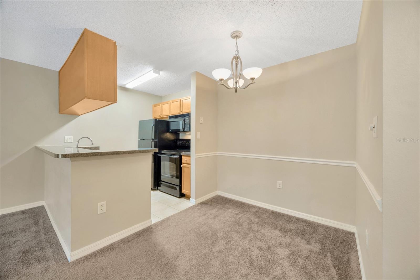 308 LAKE PARSONS GRN #105, BRANDON, FL, 33511