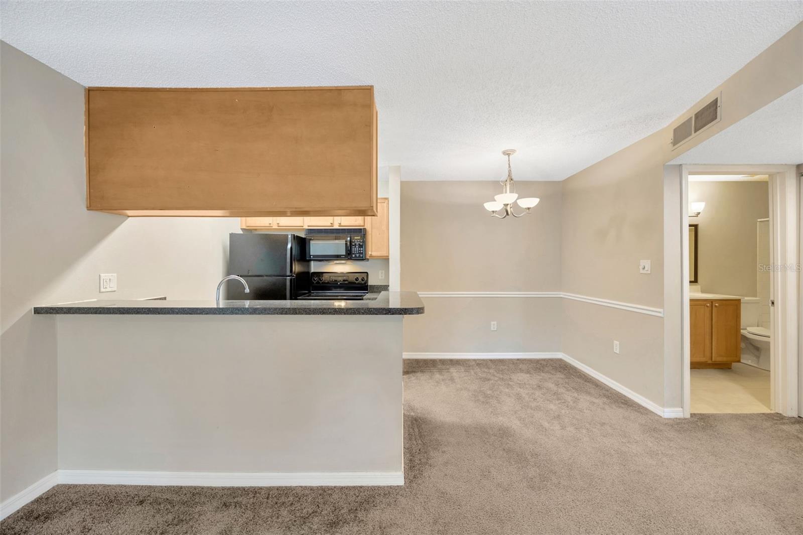 308 LAKE PARSONS GRN #105, BRANDON, FL, 33511