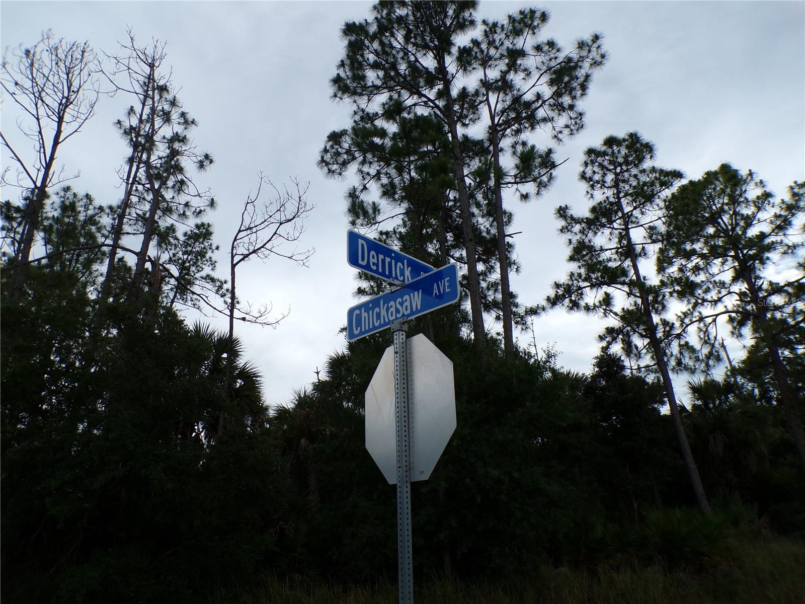 CHICKASAW AVE, NORTH PORT, FL, 34288