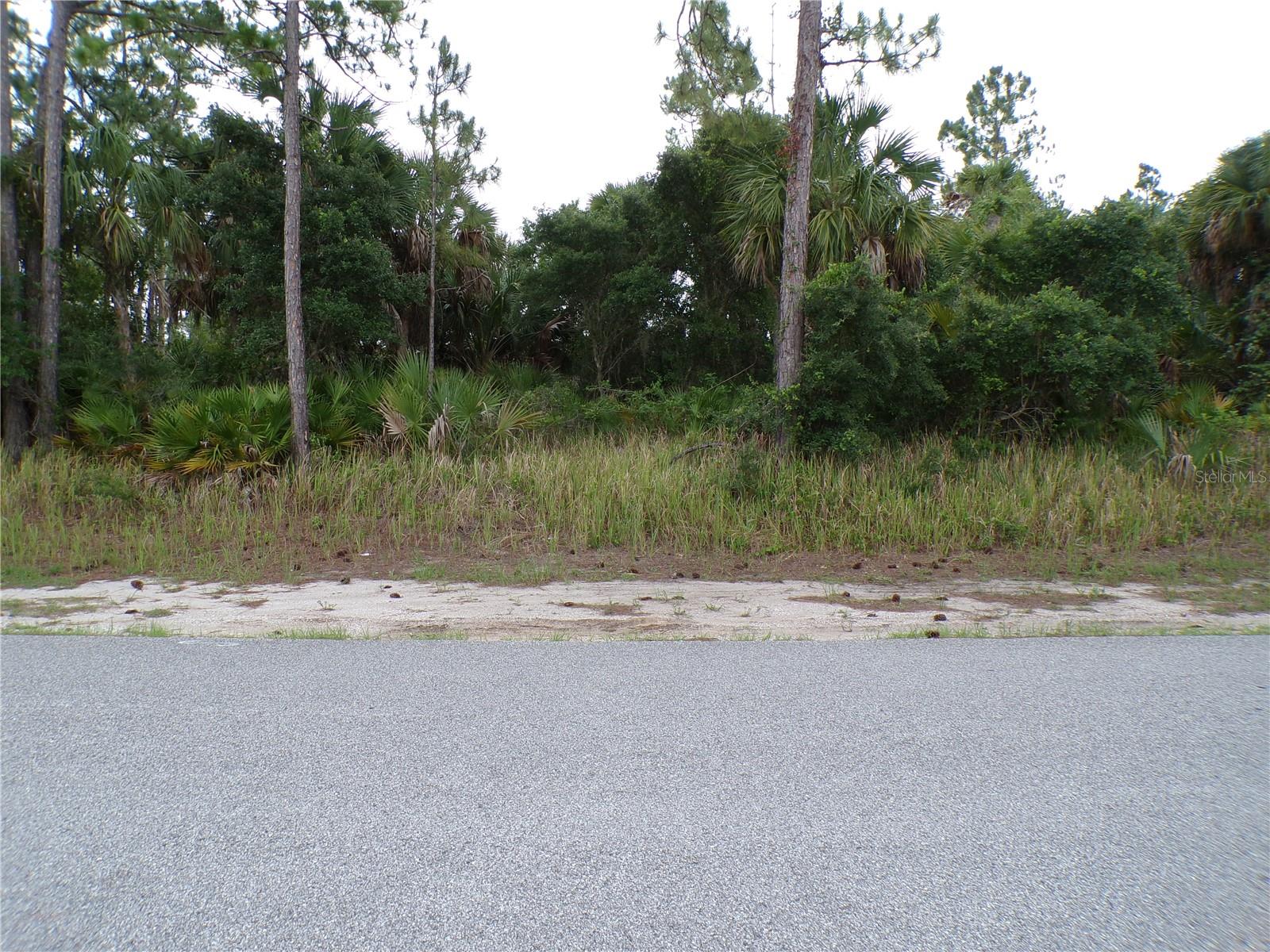 CHICKASAW AVE, NORTH PORT, FL, 34288