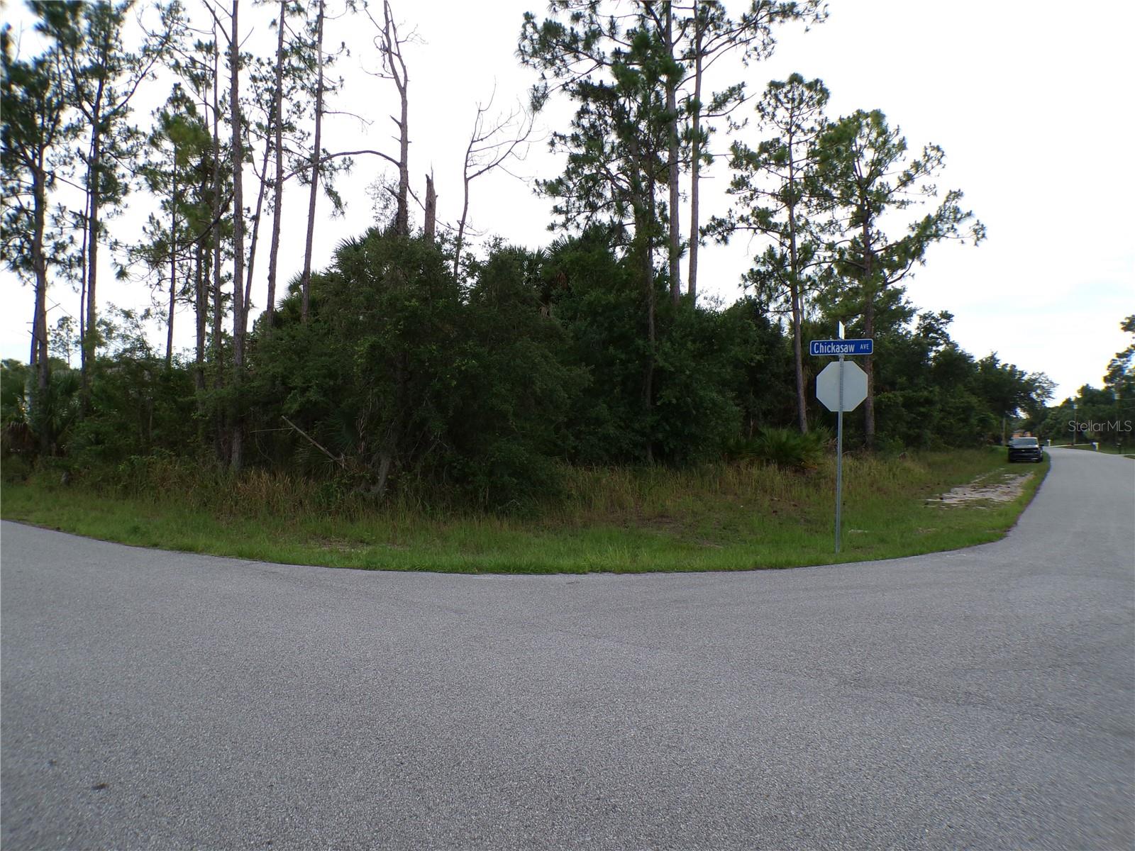 CHICKASAW AVE, NORTH PORT, FL, 34288
