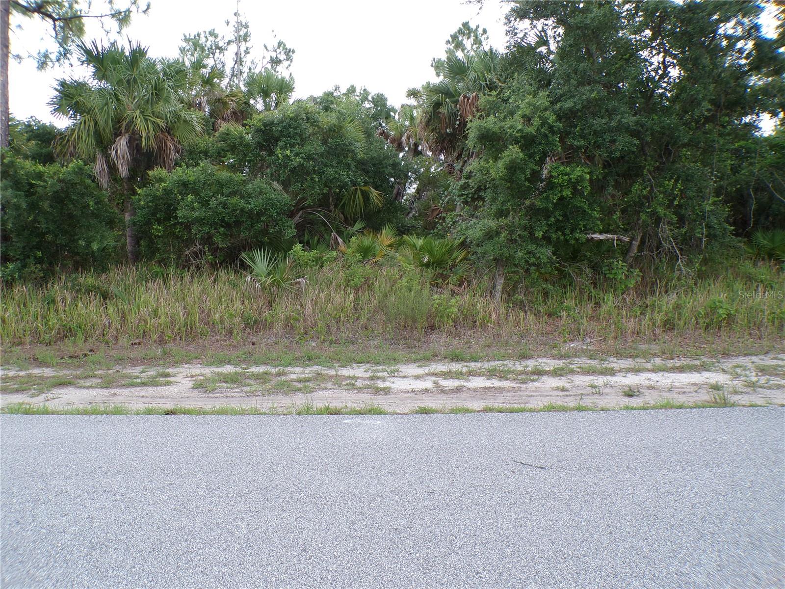 CHICKASAW AVE, NORTH PORT, FL, 34288