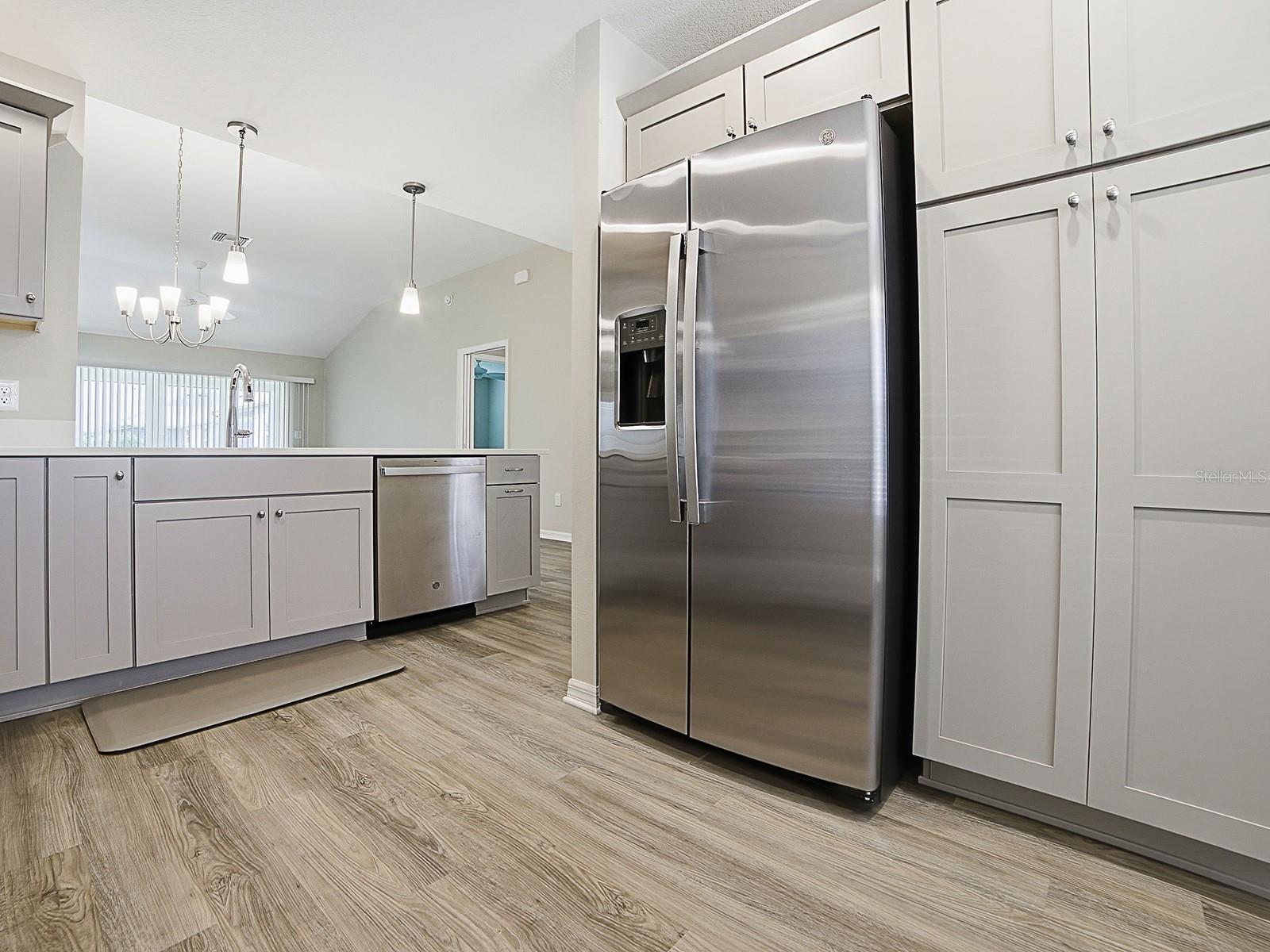 1896 MCMURTRIE LOOP, THE VILLAGES, FL, 34762