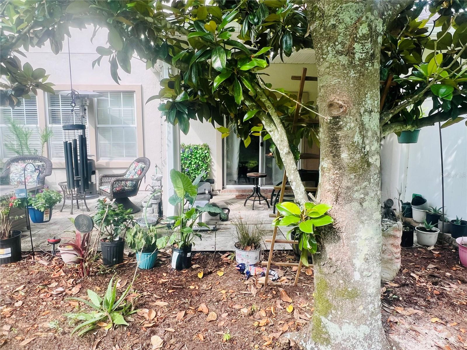 332 WOODED CROSSING CIR, ST AUGUSTINE, FL, 32084
