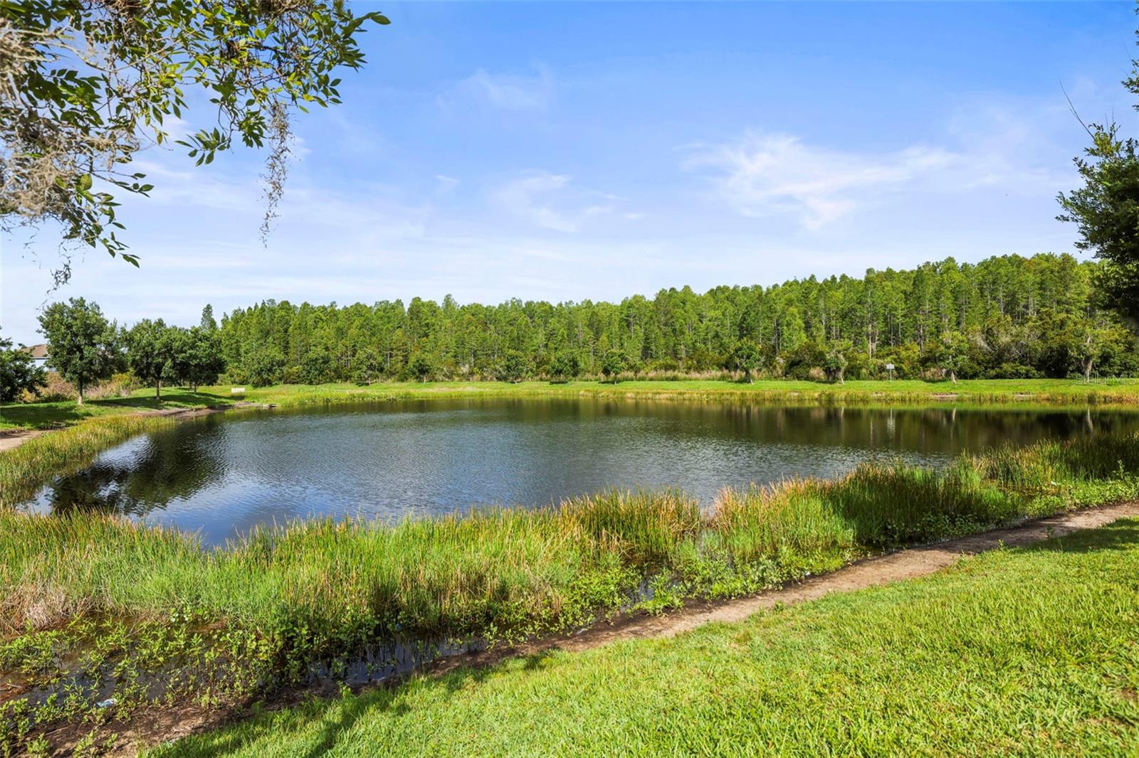 3603 MORGONS CASTLE CT, LAND O LAKES, FL, 34638