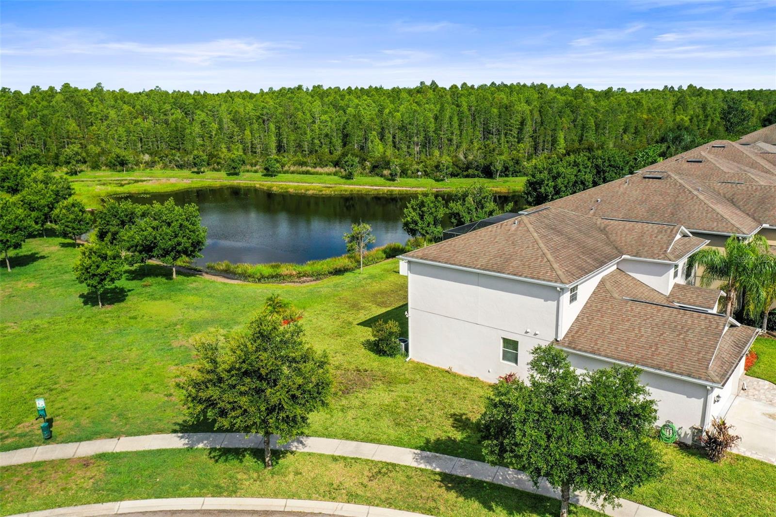 3603 MORGONS CASTLE CT, LAND O LAKES, FL, 34638
