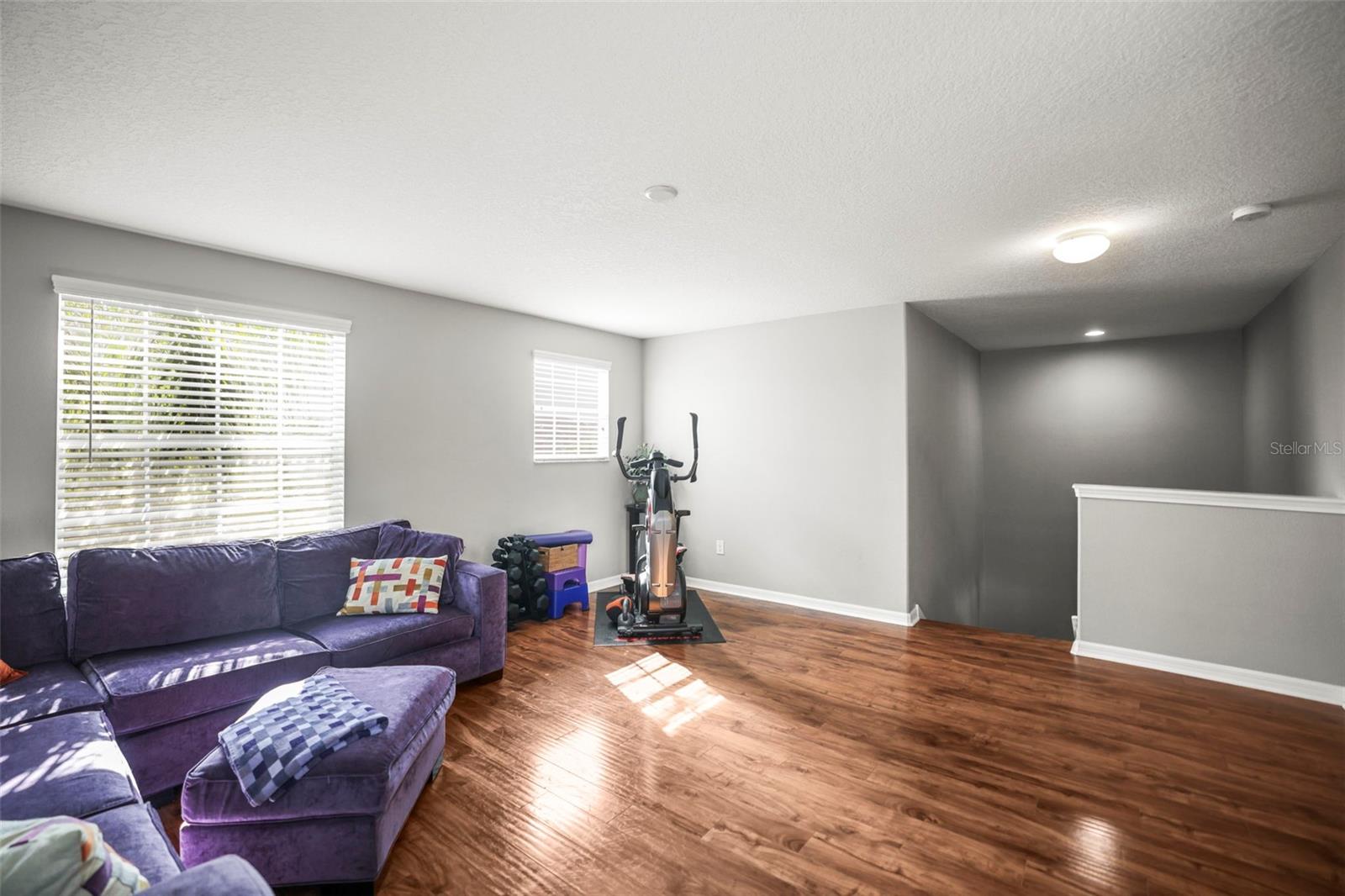 3603 MORGONS CASTLE CT, LAND O LAKES, FL, 34638