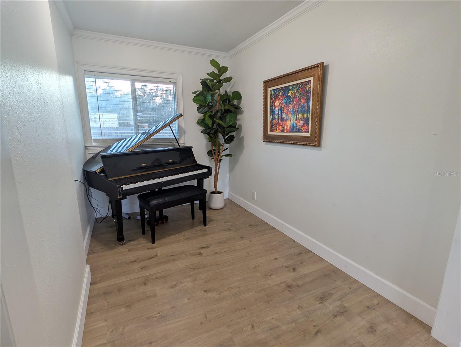 1011 N PALM DR, PLANT CITY, FL, 33563