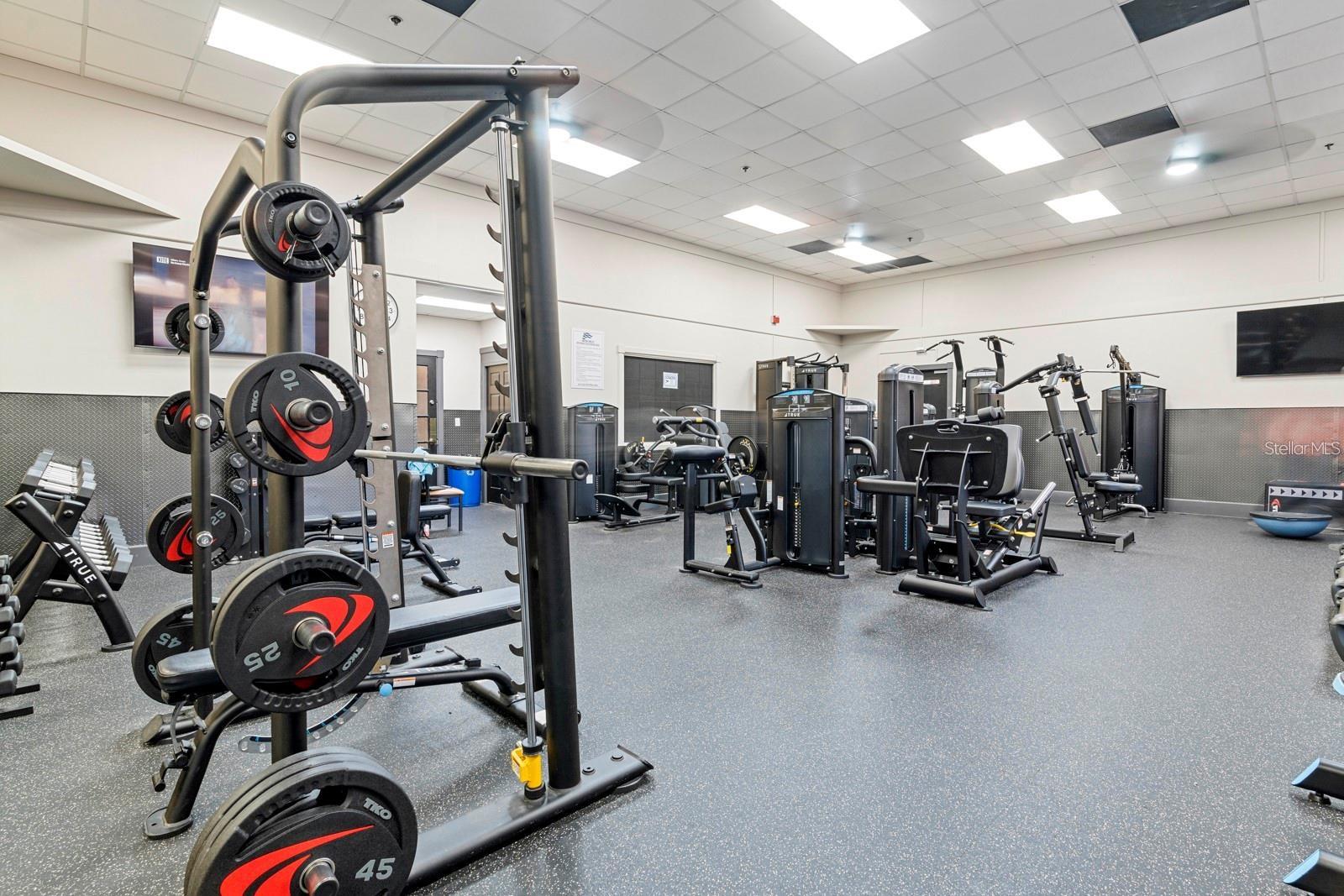 3904 S NINE DR, VALRICO, FL, 33596