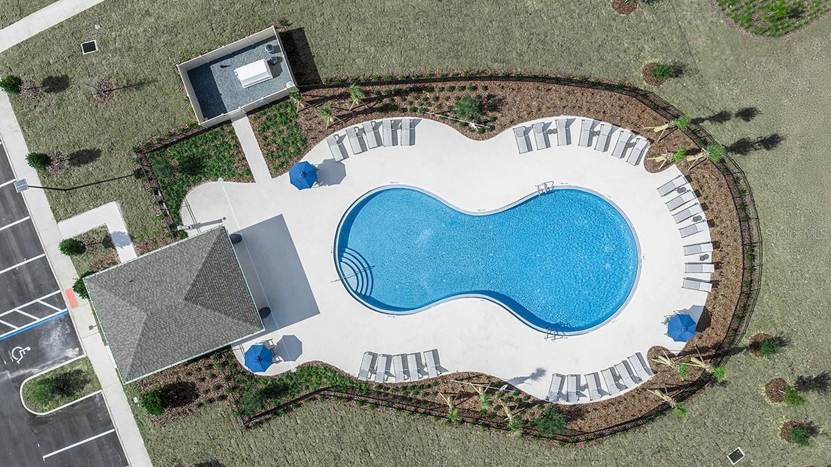 233 STREAMWATER WAY, GROVELAND, FL, 34736
