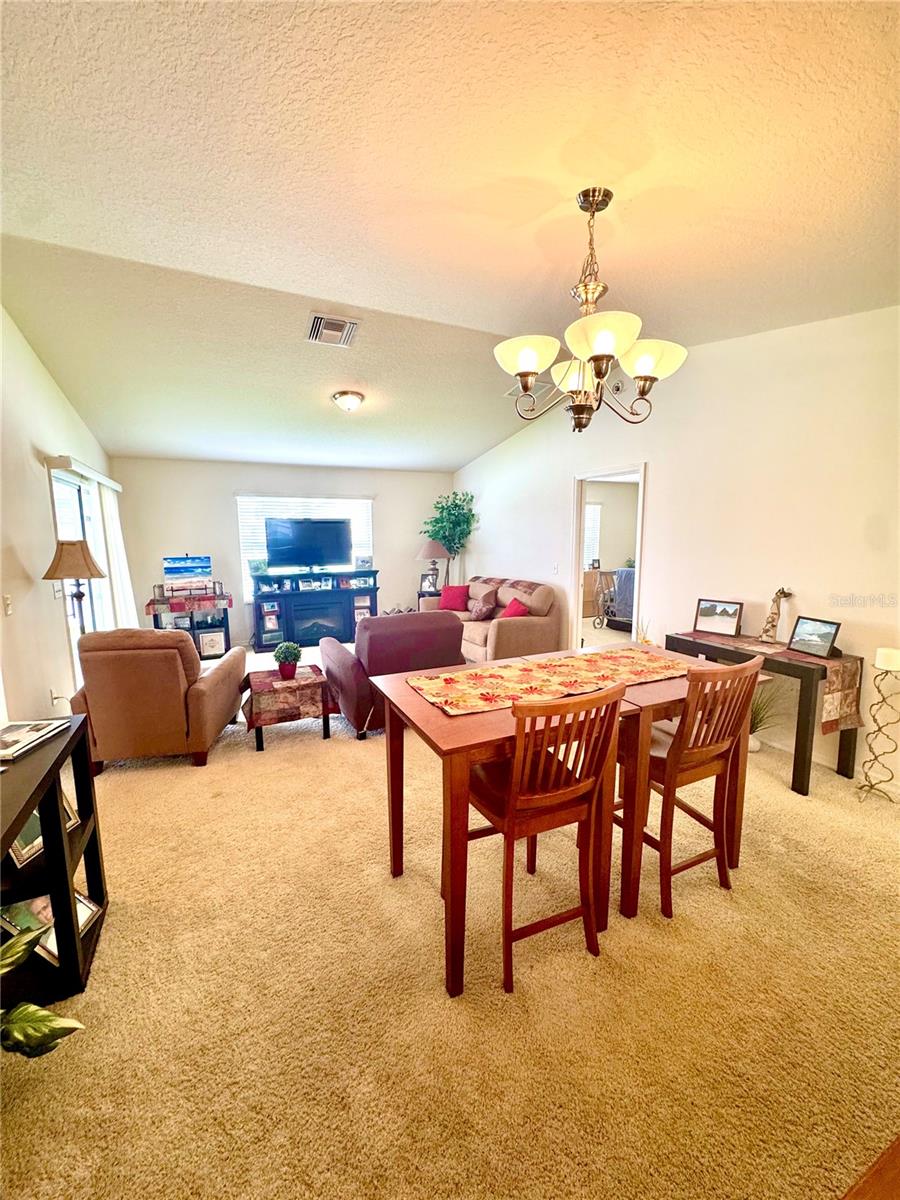 892 NASH LOOP, THE VILLAGES, FL, 32162