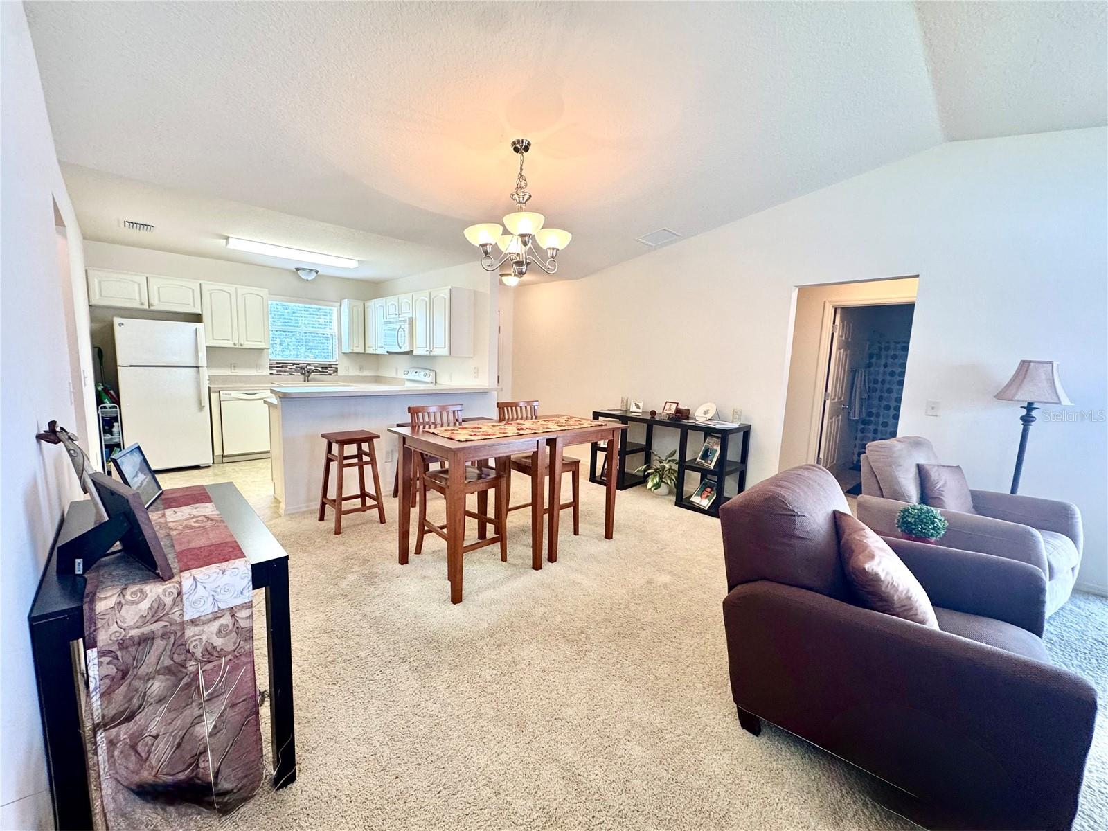 892 NASH LOOP, THE VILLAGES, FL, 32162