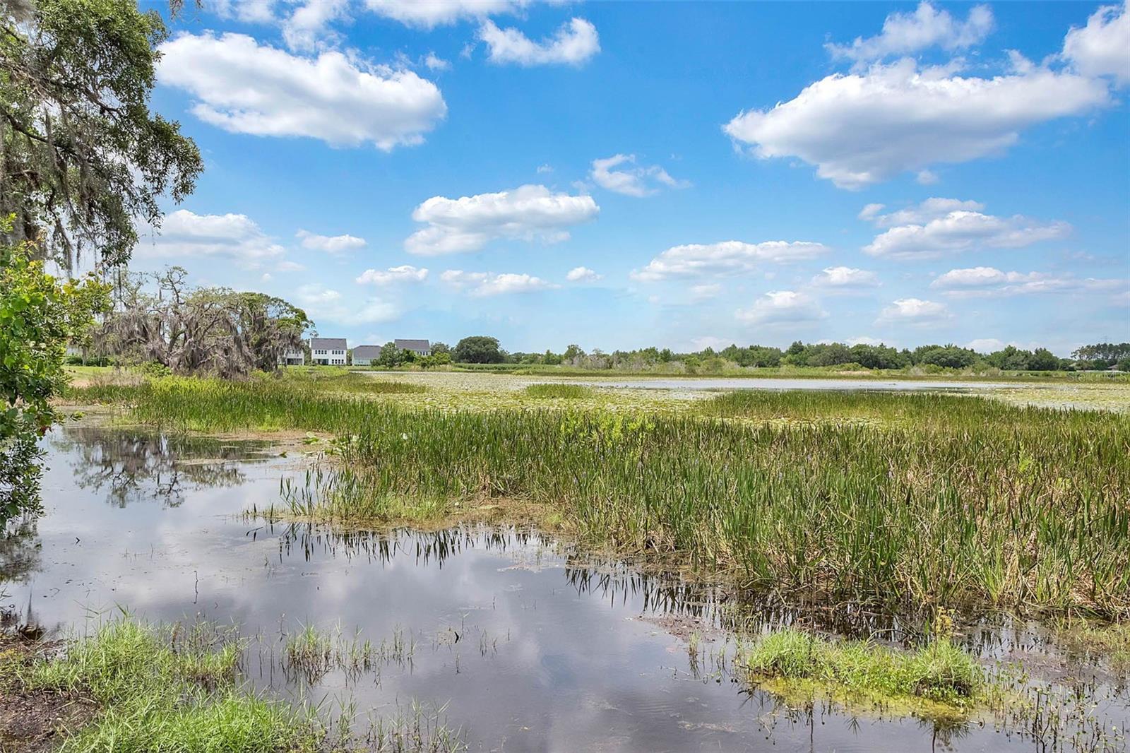 7242 SERENITY BND, WINDERMERE, FL, 34786