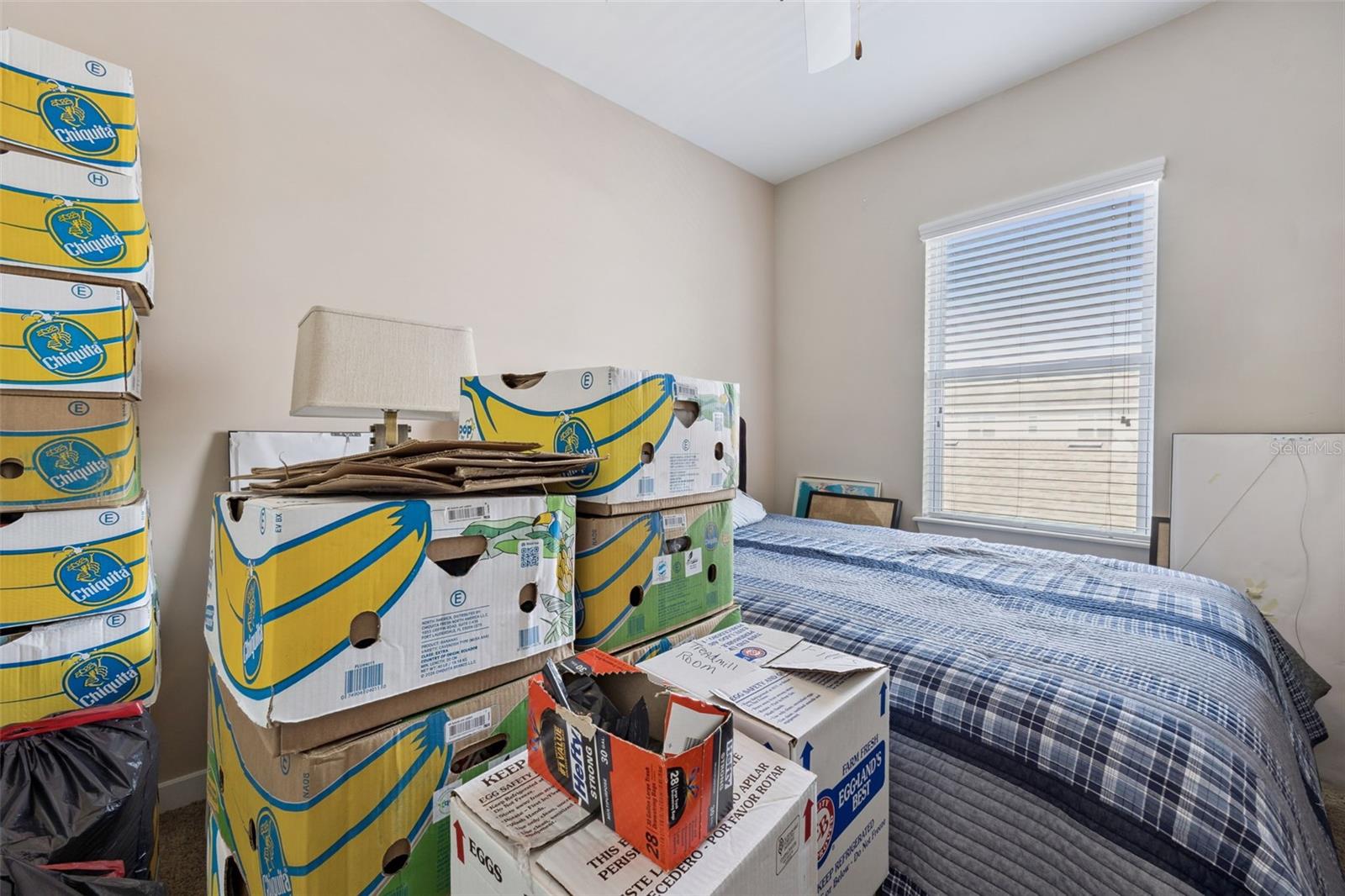 7242 SERENITY BND, WINDERMERE, FL, 34786