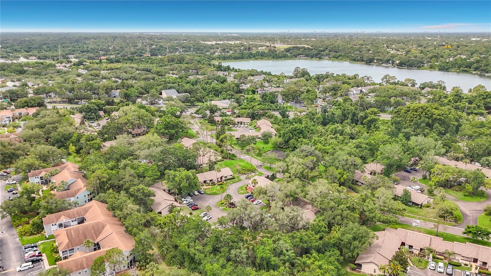 2983 ELDER CT #1, PALM HARBOR, FL, 34684