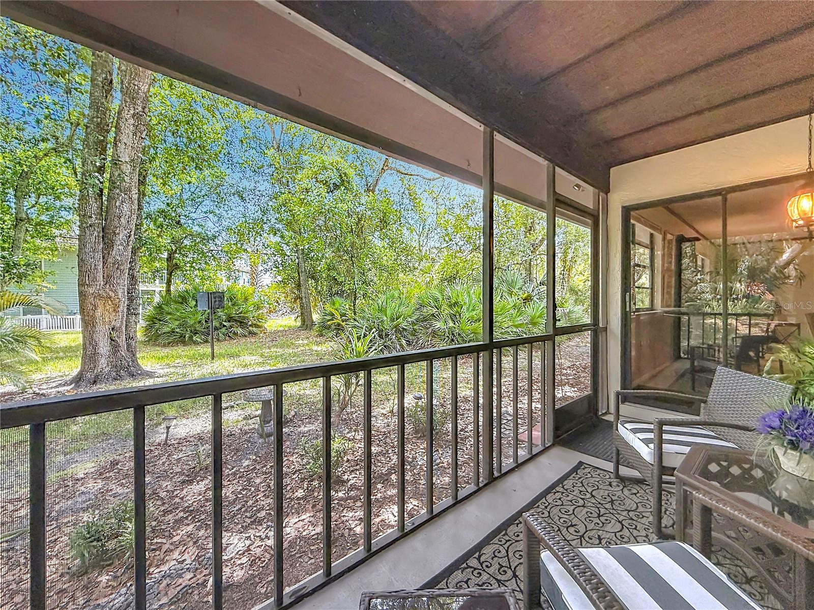 2983 ELDER CT #1, PALM HARBOR, FL, 34684