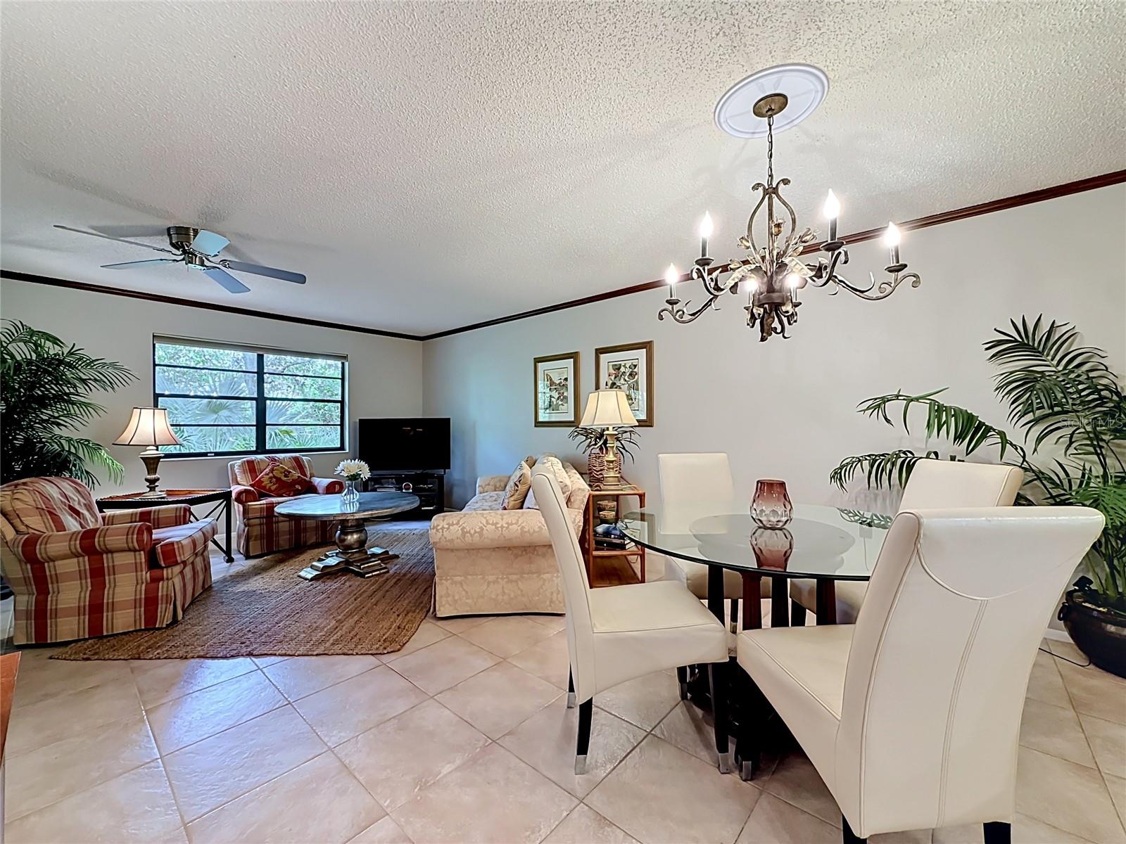 2983 ELDER CT #1, PALM HARBOR, FL, 34684