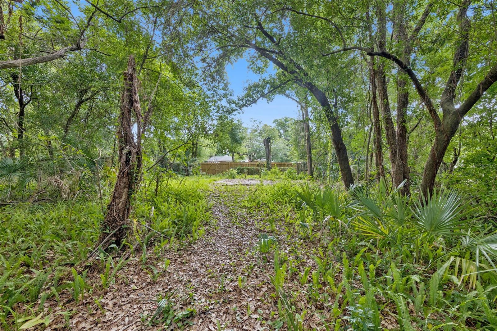 1318 COLETTA DR, ORLANDO, FL, 32807