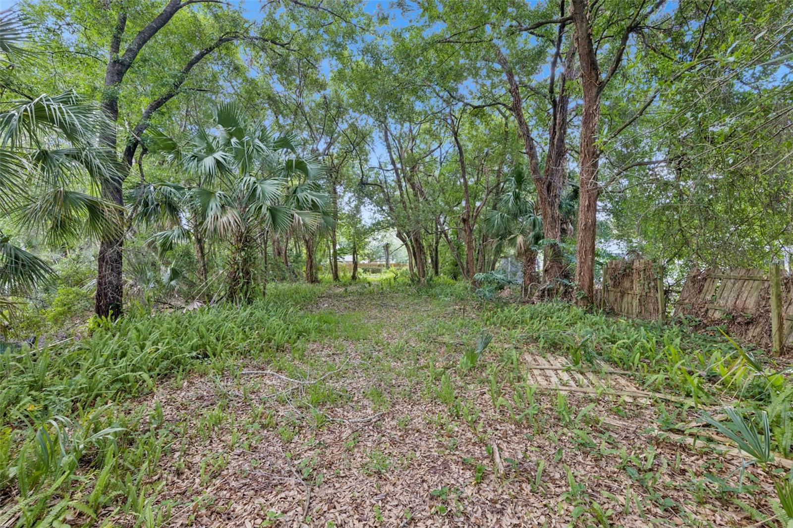 1318 COLETTA DR, ORLANDO, FL, 32807