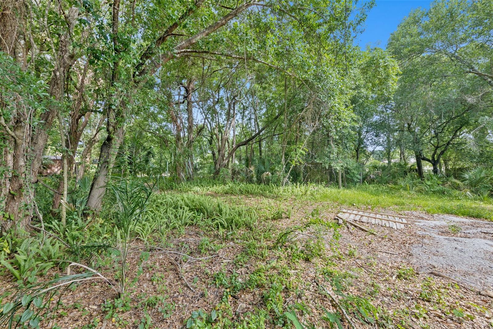 1318 COLETTA DR, ORLANDO, FL, 32807