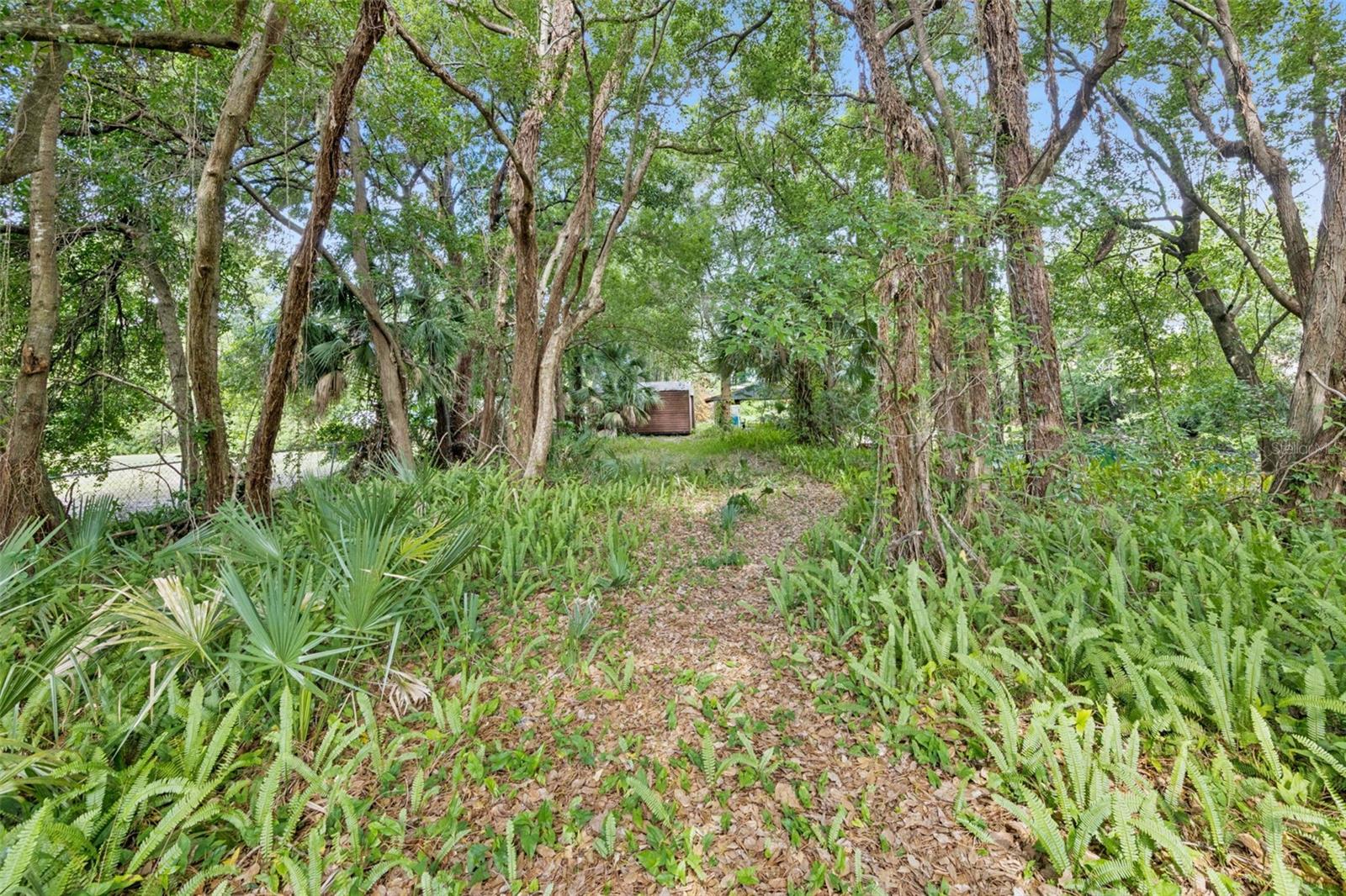 1318 COLETTA DR, ORLANDO, FL, 32807