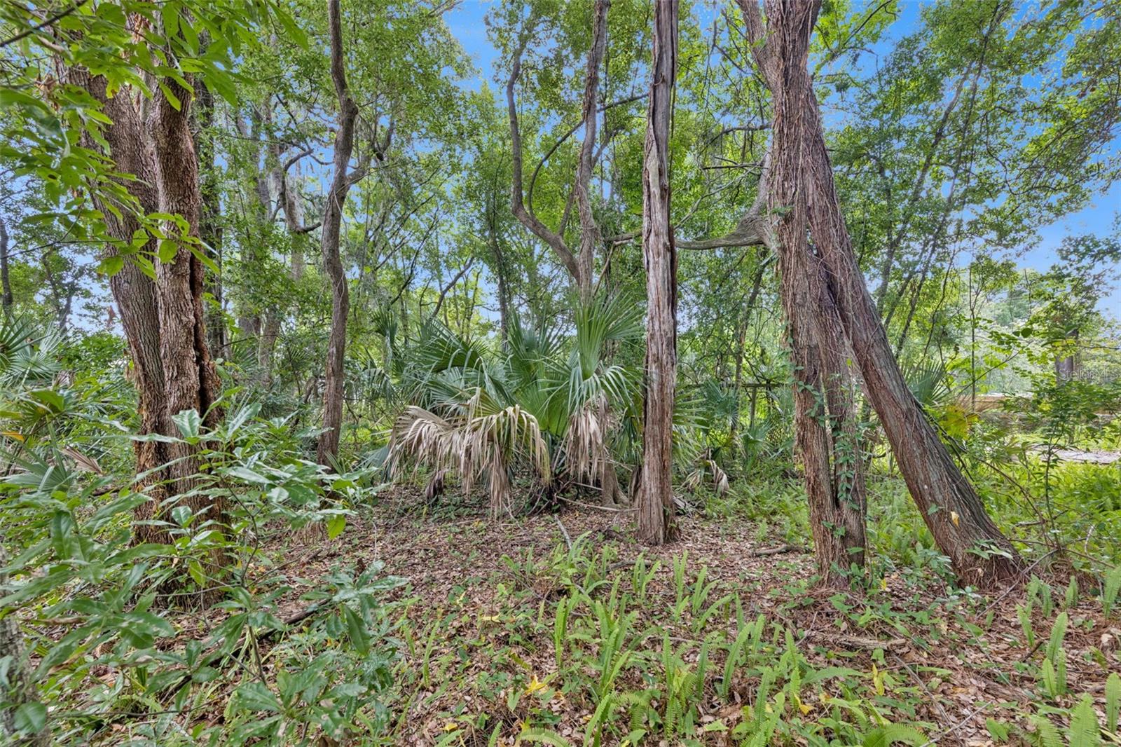 1318 COLETTA DR, ORLANDO, FL, 32807