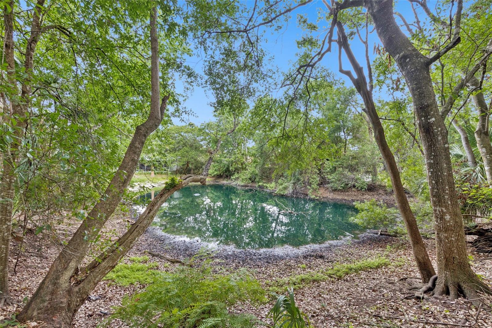 1318 COLETTA DR, ORLANDO, FL, 32807