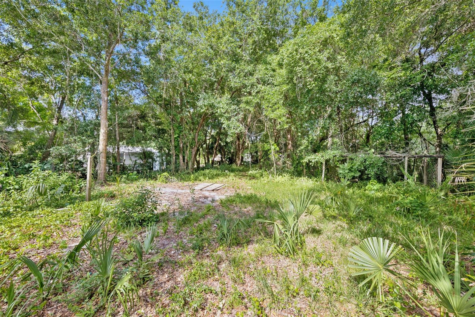 1318 COLETTA DR, ORLANDO, FL, 32807