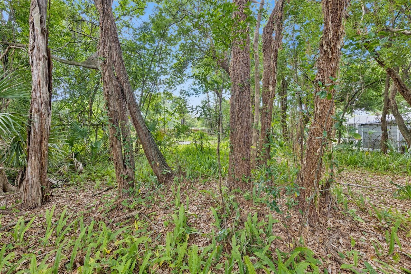 1318 COLETTA DR, ORLANDO, FL, 32807