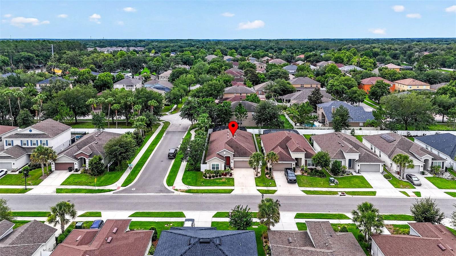 29894 CHAPEL CHASE DR, WESLEY CHAPEL, FL, 33545